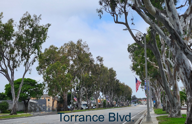 Torrance Blvd.